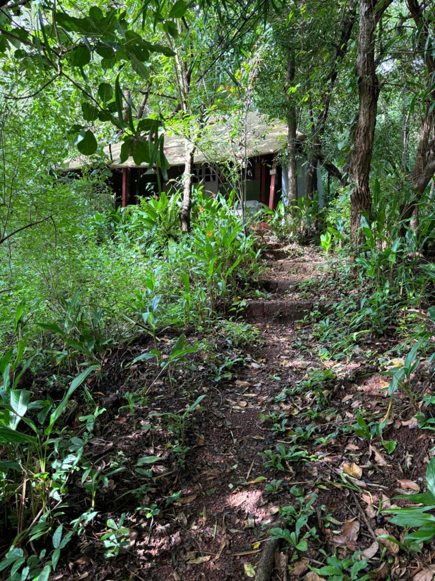 Khaama Kethna Eco Sustainable Village Agonda Esterno foto